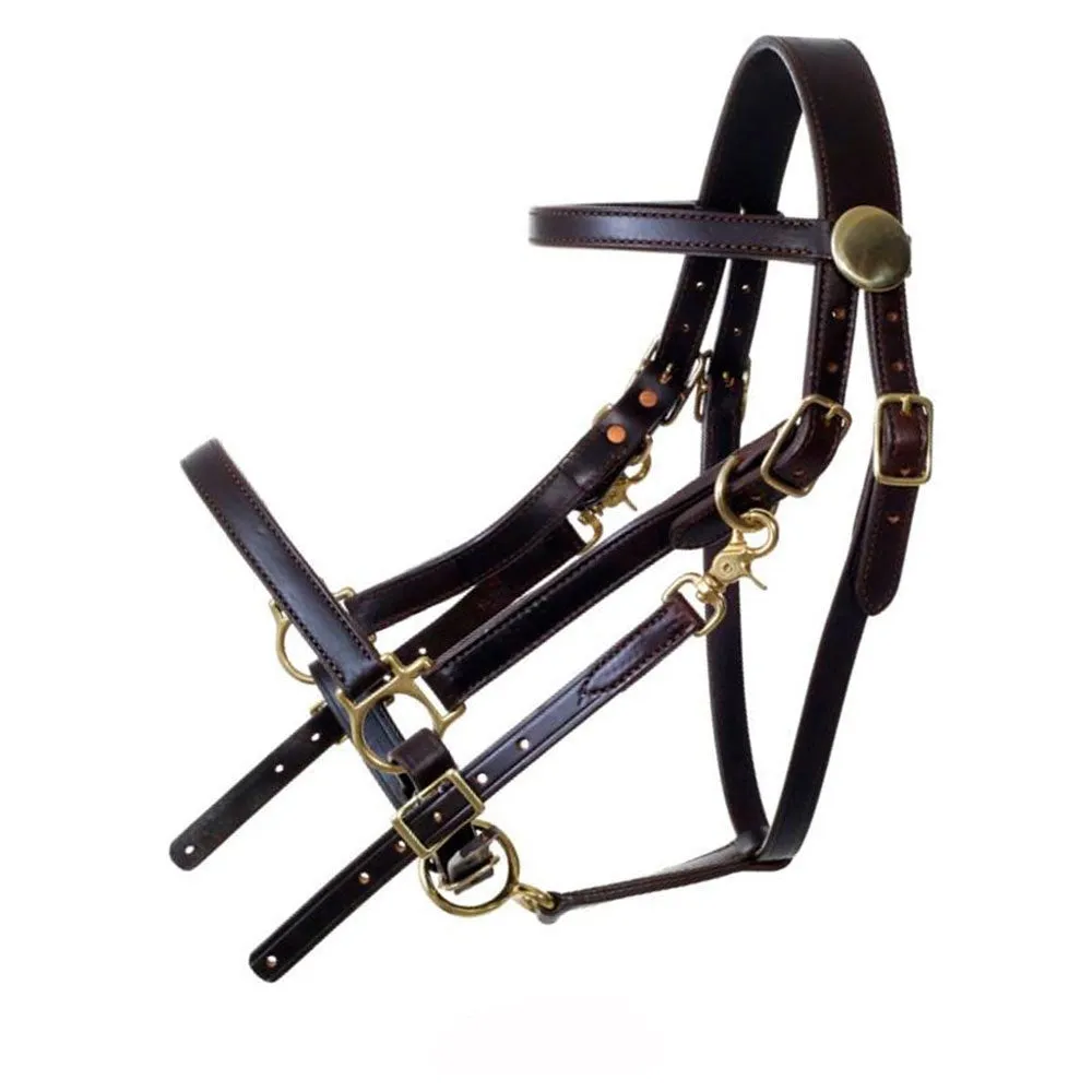 0114 Tucker Classic Standard Halter Bridle