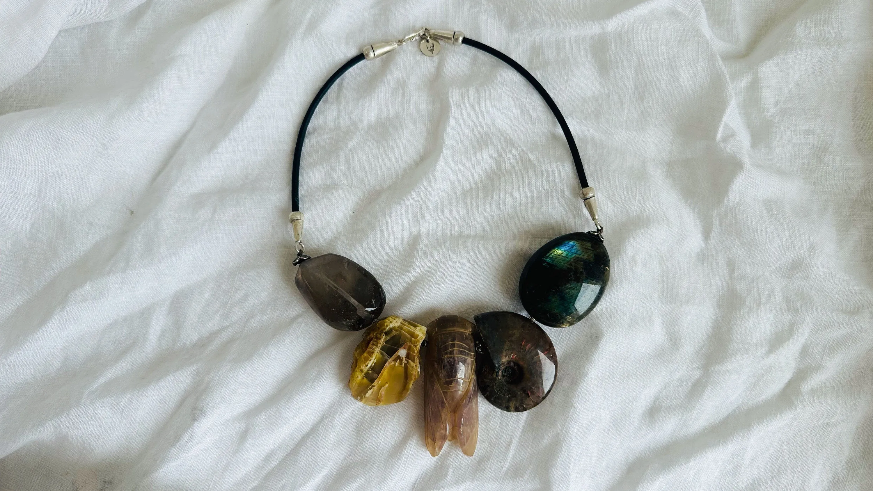 Amethyst Cicada, Ammonite, Medicine Necklace.