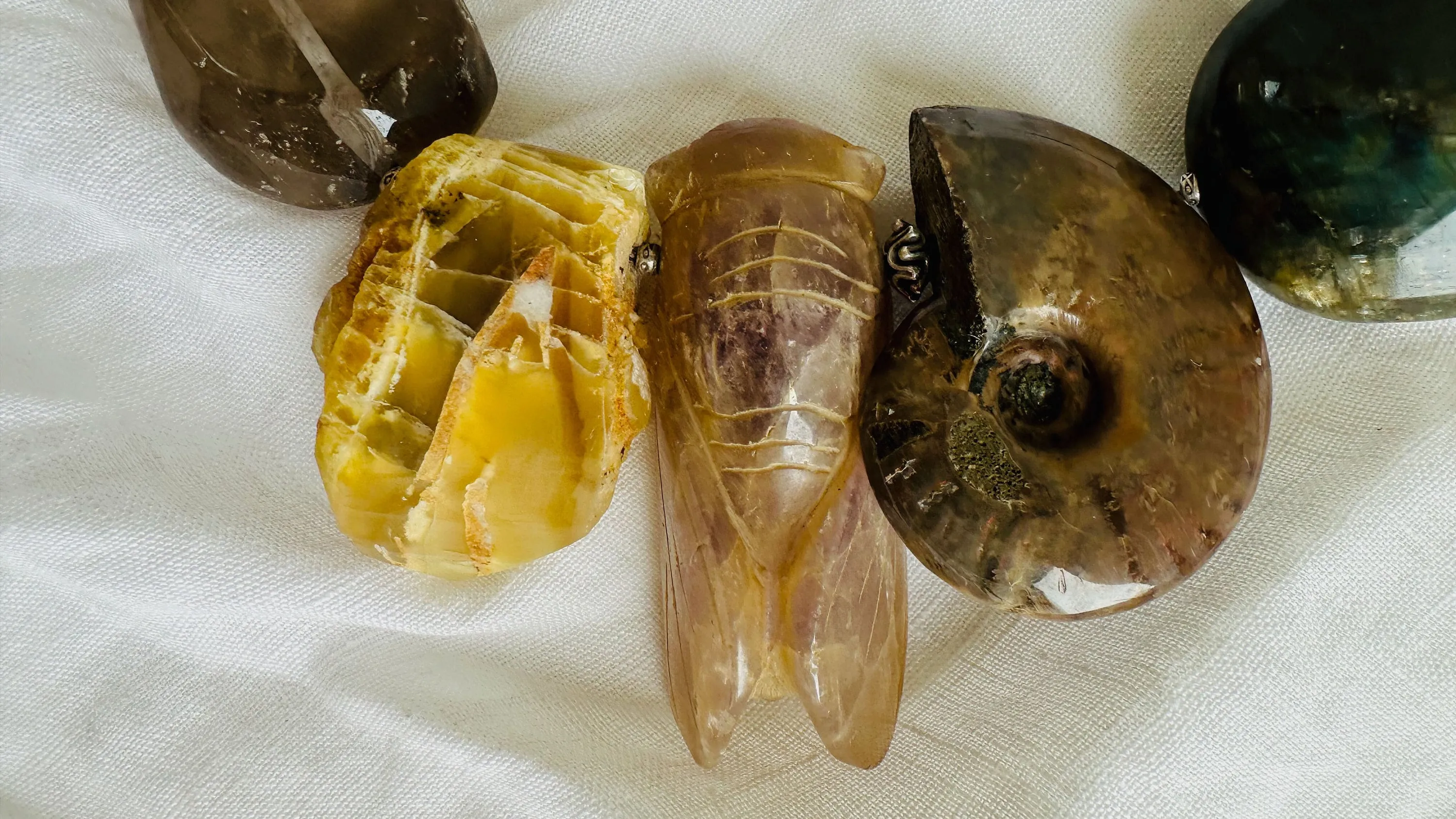 Amethyst Cicada, Ammonite, Medicine Necklace.
