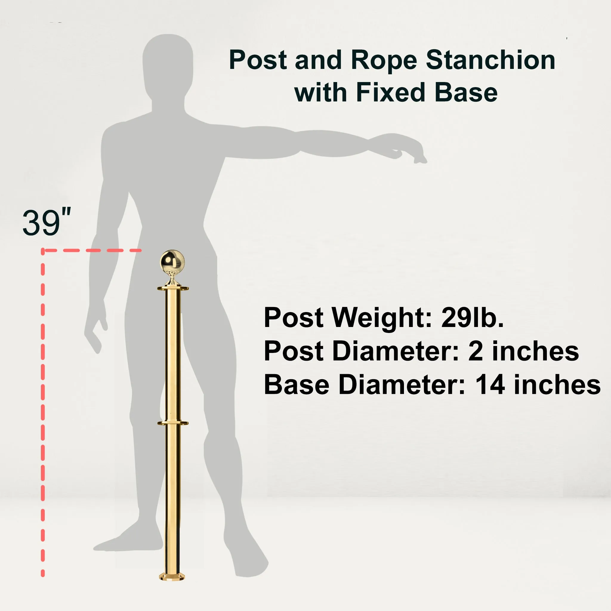 Ball Top Dual Rope Stanchion with Fixed Base - Montour Line CXLineDF