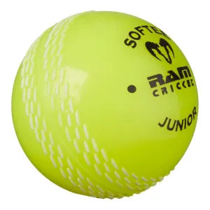 Custom Coaching Balls - 14-18 week delivery