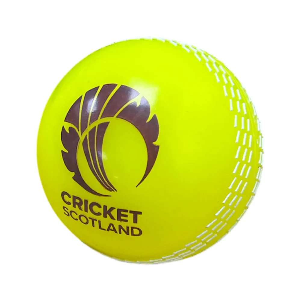 Custom Coaching Balls - 14-18 week delivery