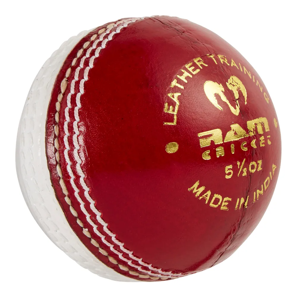 Custom Coaching Balls - 14-18 week delivery