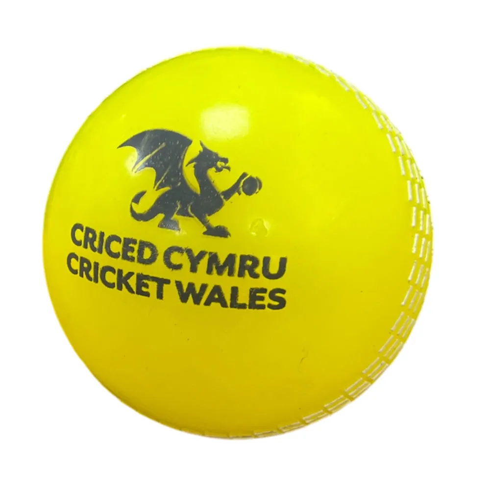 Custom Coaching Balls - 14-18 week delivery
