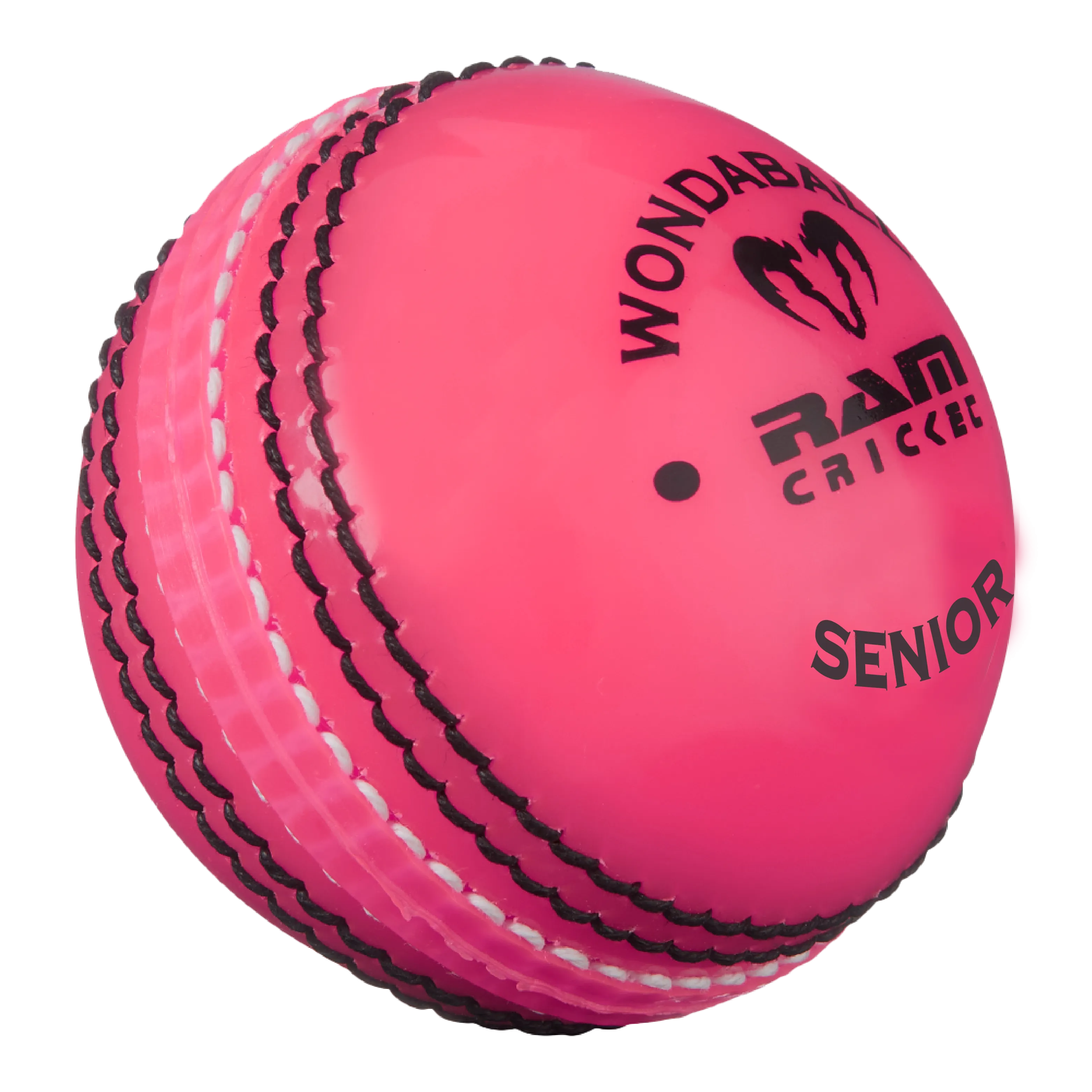 Custom Coaching Balls - 14-18 week delivery