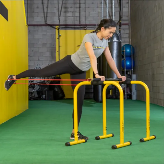 EQualizer & Lebert Resistance Bar Bundle