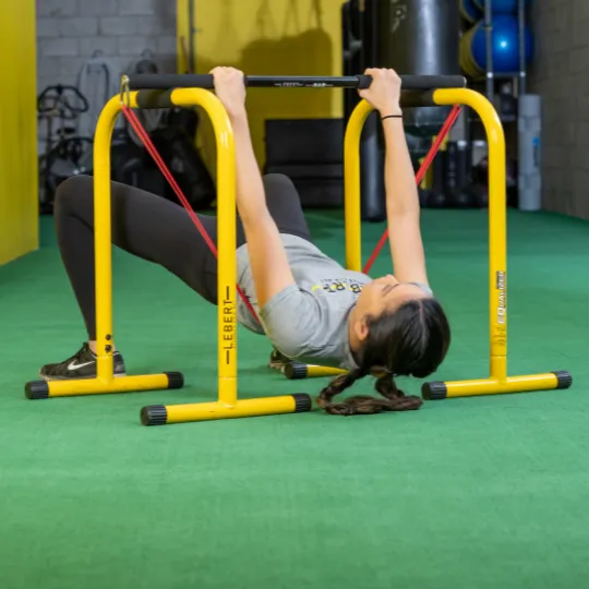 EQualizer & Lebert Resistance Bar Bundle