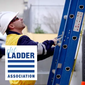 Ladder and Stepladder (For Managers)