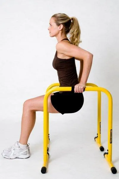 Lebert Equalizer Total Body Strengthener